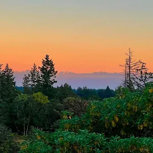 Olympic Views - Cozy Modern 2br Apartment